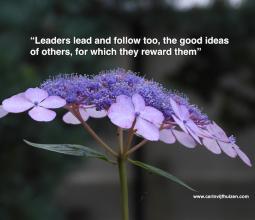 Leadership