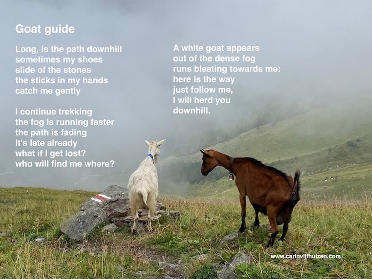 Goat Guide