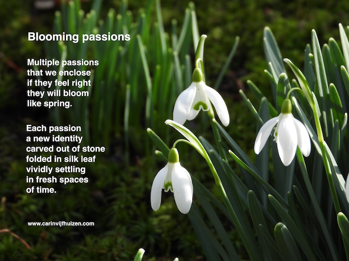 Blooming Passions