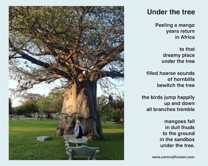 Under the tree